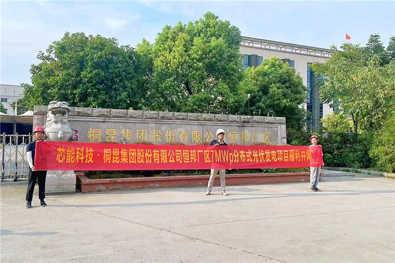 15.49MW！立讯细密、桐昆股份、聚赛龙漫衍式光伏项目乐成并网_2022_环球国际资讯_新闻资讯_环球国际